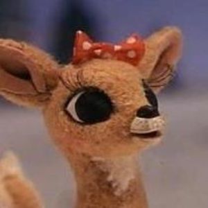 Meet your Posher, Janice